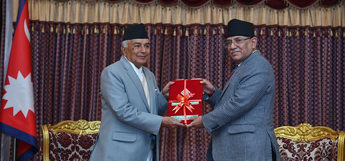 राष्ट्रिय सुरक्षा परिषदको वार्षिक प्रतिवेदन पेश