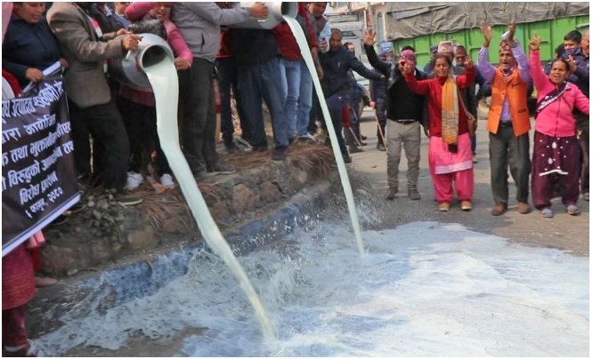 सरकार र केन्द्रीय दुग्ध सहकारी संघबीच पाँच बुँदे सहमति