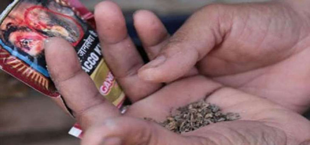 सुर्ती सेवनबाट दैनिक ७३ जना मृत्युको सिकार