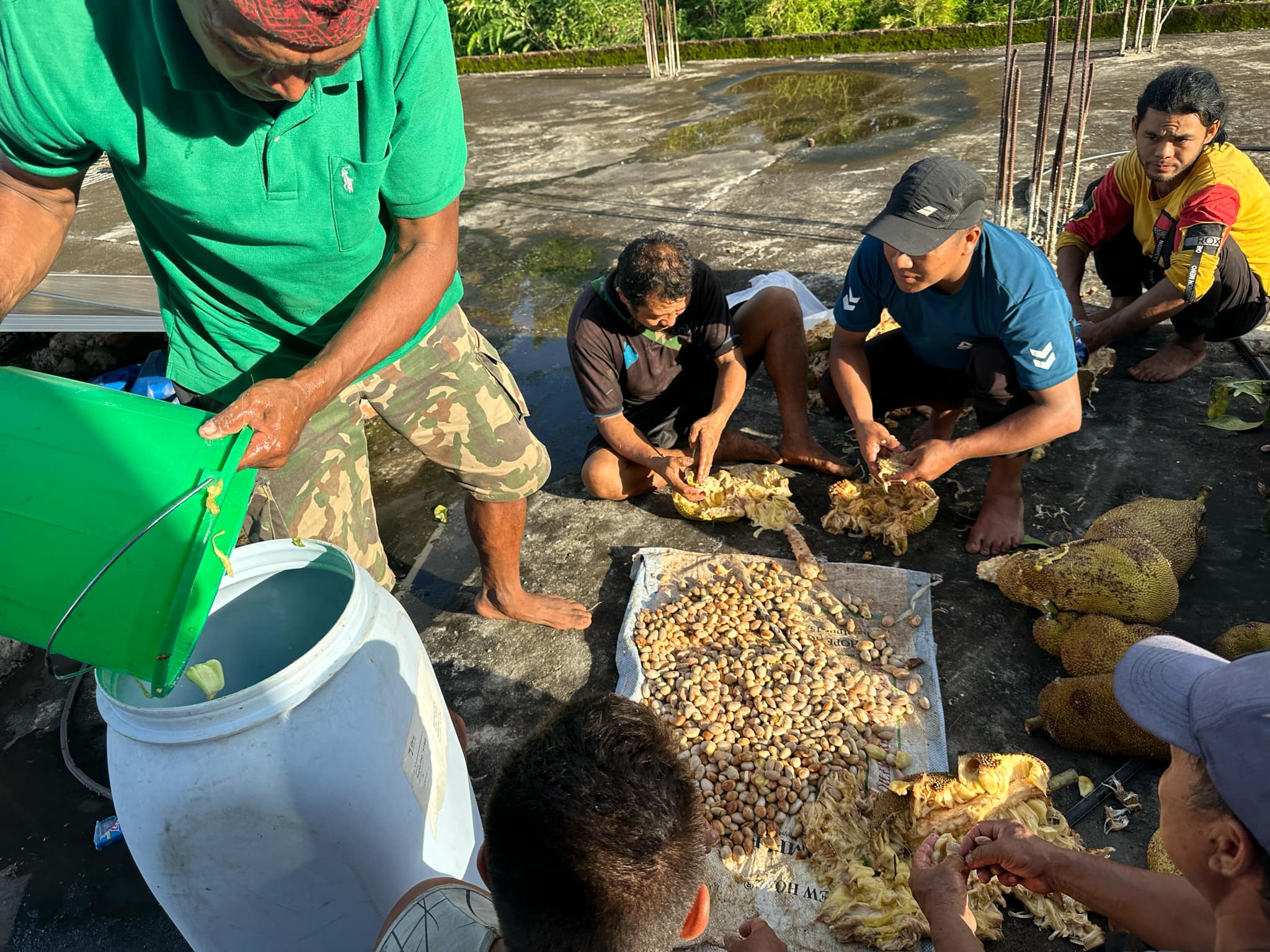 फालिएको कटहरबाट वाइन बनाउँदै वडा