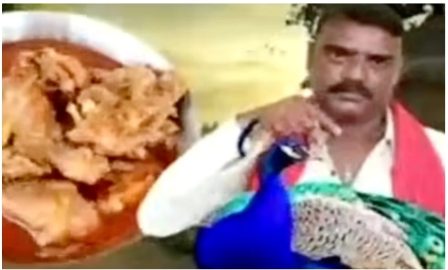 मयूरको मासु खाएको भिडियो बनाउने भारतीय युट्युबर पक्राउ