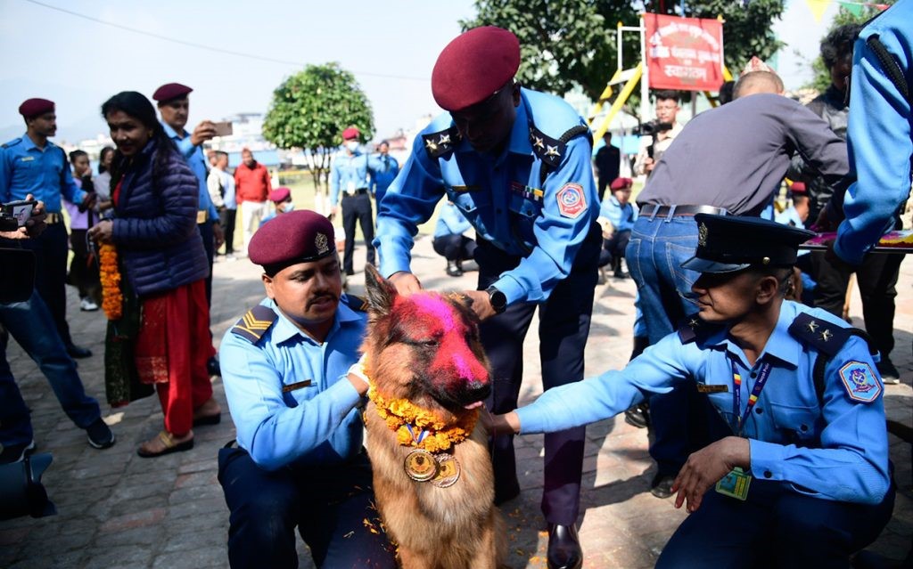 प्रहरीले मनायो कुकुर तिहार, ‘टाइगर’ बन्यो उत्कृष्ट