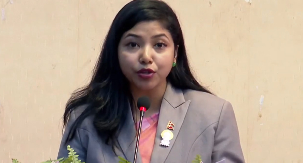 इतिहासको सम्मान गर्न सक्नुपर्छः उपप्रमुख डंगोल