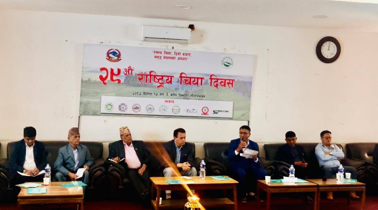 नेपालमा चिया उत्पादन र निर्यातमा उल्लेखनीय वृद्धि, सात वर्षमा उच्च सुधार