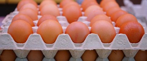 घट्यो अण्डाको मूल्य, कति पर्छ प्रतिक्रेट ?