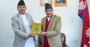 प्रदेश प्रमुखसमक्ष मुस्लिम आयोगको वार्षिक प्रतिवेदन पेस