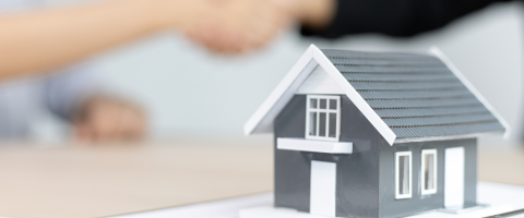 नेपालको रियल–स्टेट बजारमा मधेस प्रदेशको बर्चस्वः नेपाल राष्ट्र बैंक