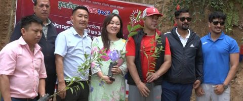 कागेश्वरी मनोहराबाट राष्ट्रिय युवा सङ्घ नेपालको एकमहिने वृक्षारोपण अभियान शुभारम्भ