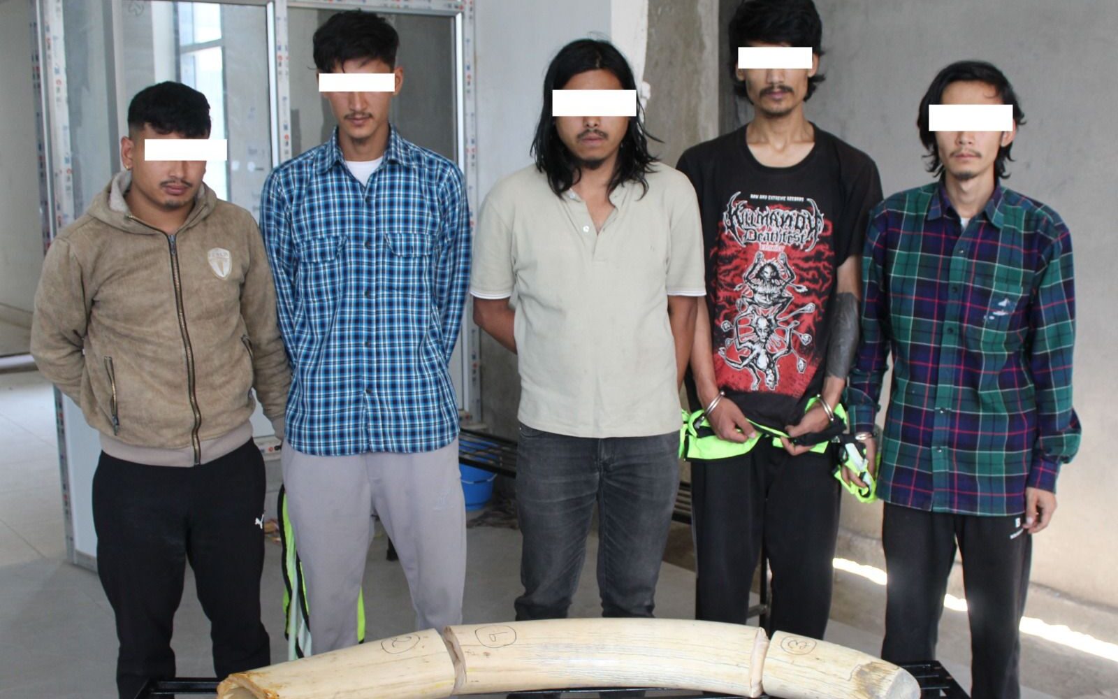 राष्ट्रपति कार्यालयबाट लुटिएको हात्तीको दाह्रासहित ५ जना पक्राउ