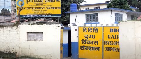प्रधानमन्त्री कार्यालयको निर्देशनपछि डिडिसीमा दूधको गुणस्तर सुधार