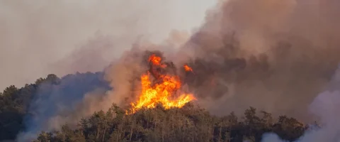 डढेलोमा परेर स्पेनमा १२ जनाको मृत्यु