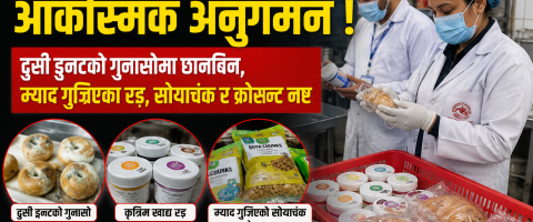 खाद्य विभागको छापा : कृत्रिम रंग, म्याद गुज्रिएको सोयाचंक र लेबलविहीन क्रोसंट नष्ट