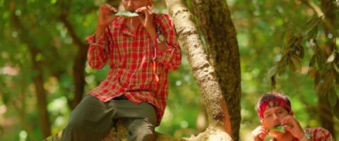 फूल भिरैमा’ बोलको गीत सार्वजनिक